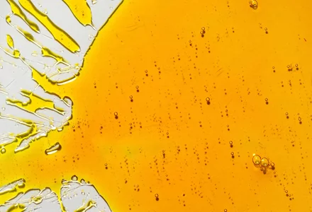Discovering Lecithin: A Versatile Natural Ingredient 