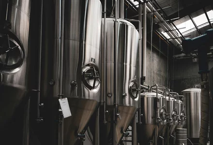 Lebensmittelenzyme für die Lebensmittelindustrie  