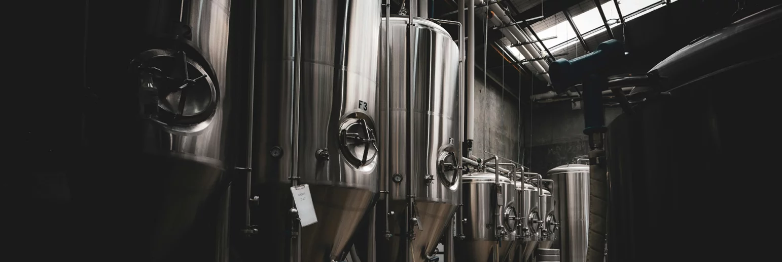 Lebensmittelenzyme für die Lebensmittelindustrie  