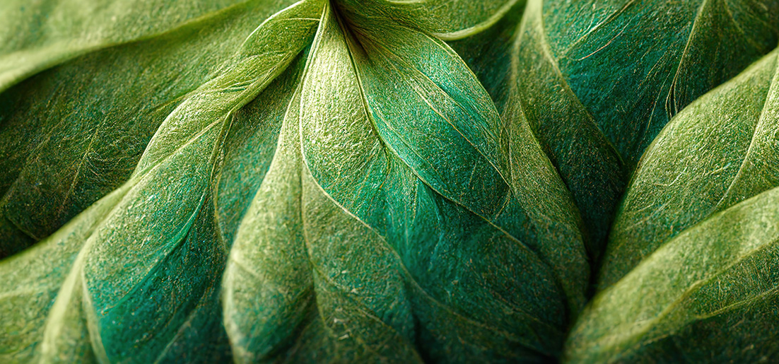 Plant Fibers – Added Value for Innovative Product Developments  