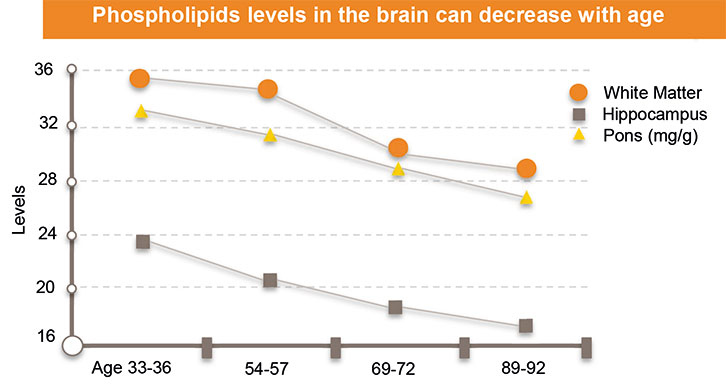 [Translate to English:] Phospholipids levels in the brain
